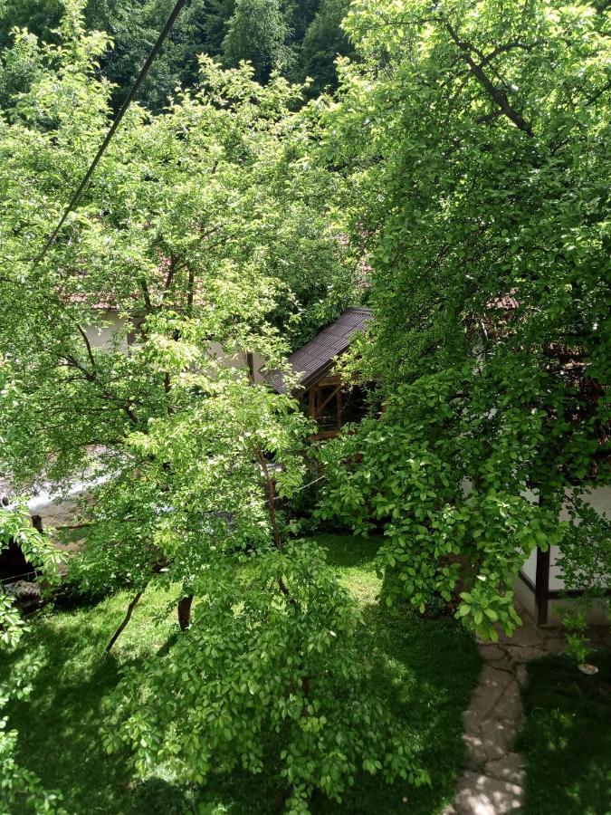 Smjestaj Na Selu "Dule Piljic" Janjske Otoke. Hotel Sipovo Bagian luar foto